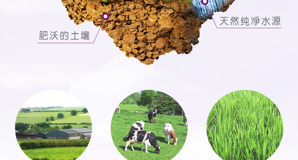 下单备注收件人身份证号以便清关 【保税区】A2三段(新包装) 两罐起每罐减8元_澳有网